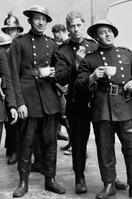 fmp_dct website_brand card_genes_260121