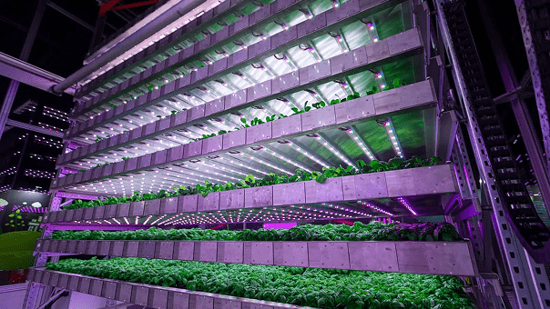 Sustainability-3-img 604-340 - 16_9-min